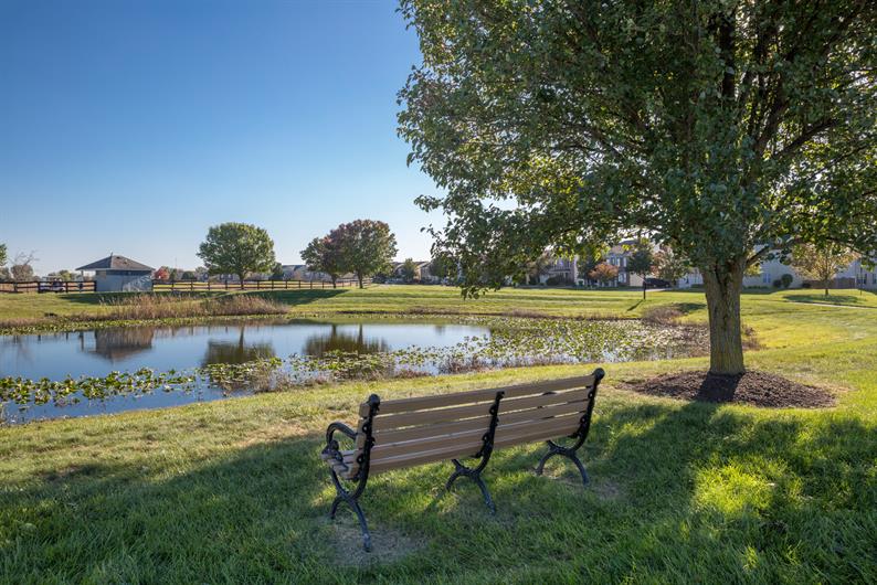 Enclave at Heartland Crossing SingleFamily Homes and MainLevel Owner