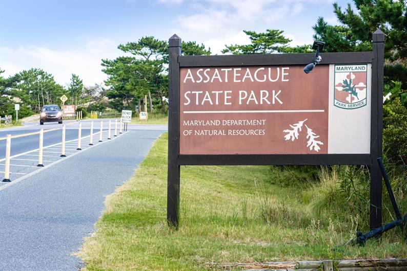 Landings at Bayside SingleFamily Homes SingleFamily Homes featuring