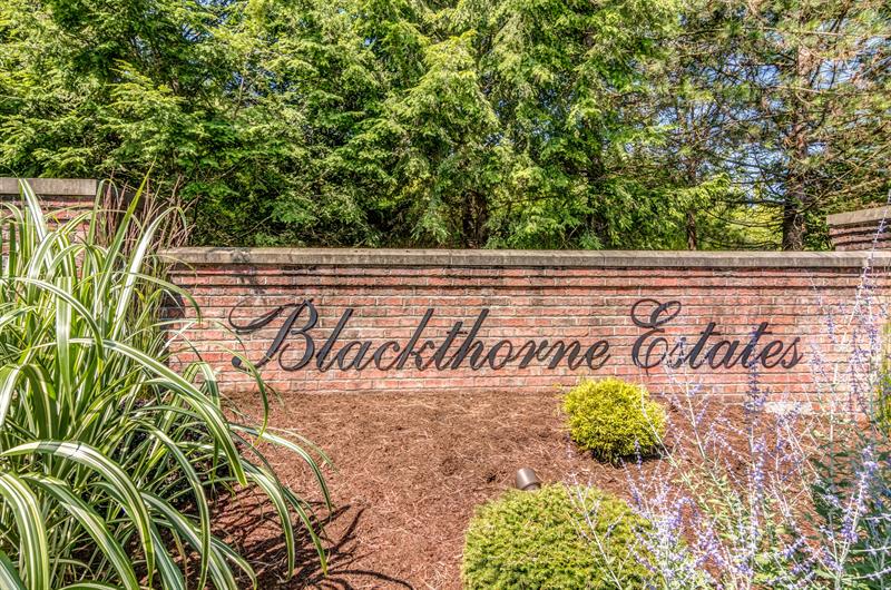 Blackthorne Estates SingleFamily Homes MainLevel Owner's Suites