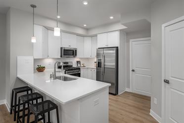 South Lake Condos - Community