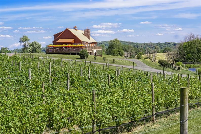 Tuscarora Crossing Luxury SingleFamily Homes MainLevel Owner's