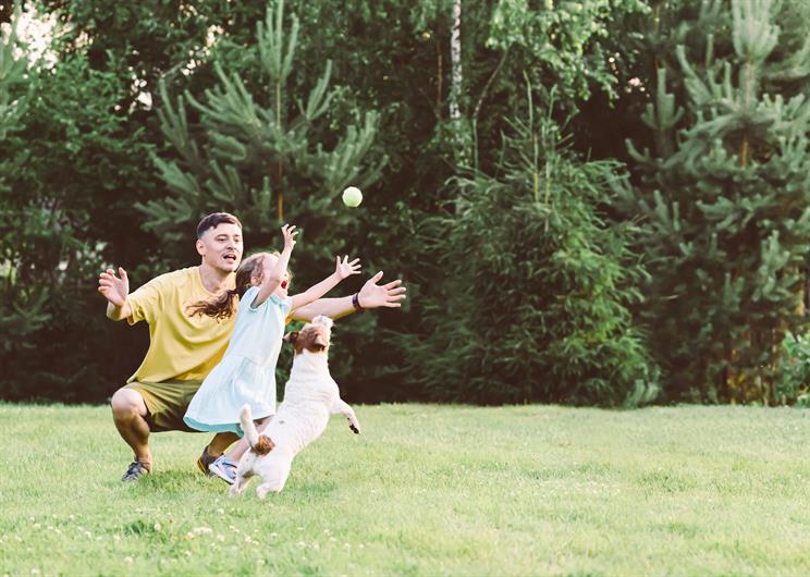 Devonaire Farms SingleFamily Homes for Sale Ryan Homes