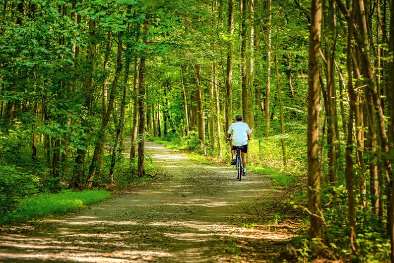 Walk or Bike to the 20-Acre Van Dyck Park 