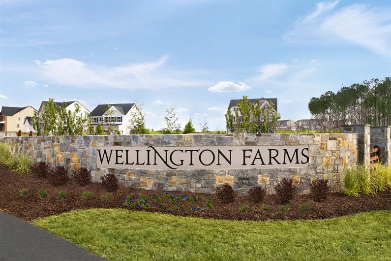 Wellington Farms Townhomes Townhomes for Sale Ryan Homes