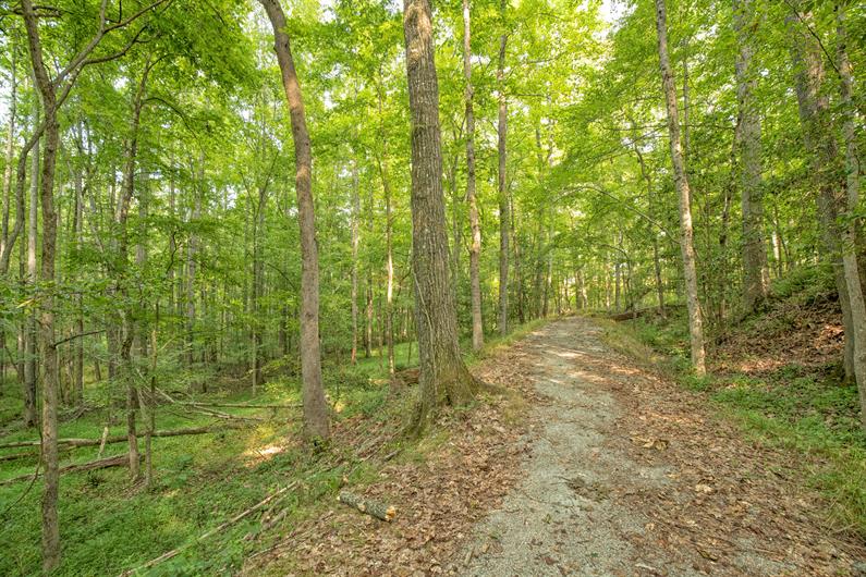 Cameron Ridge 2Story SingleFamily Homes for Sale Ryan Homes