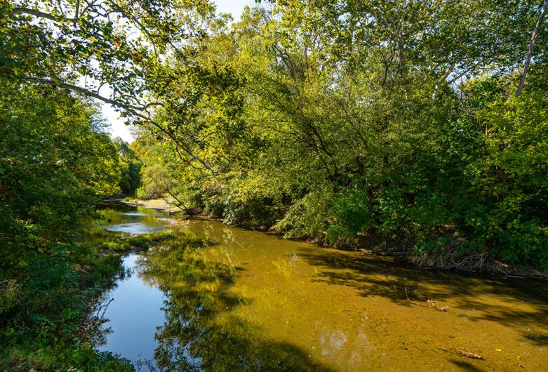 TAKE IN THE FRESH AIR WITH A STROLL ALONG THE RIVANNA RIVER 