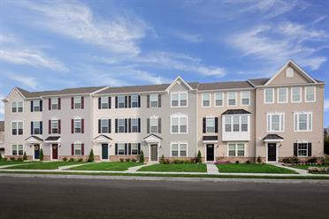 Chestnut Hill Preserve Townhomes - Community