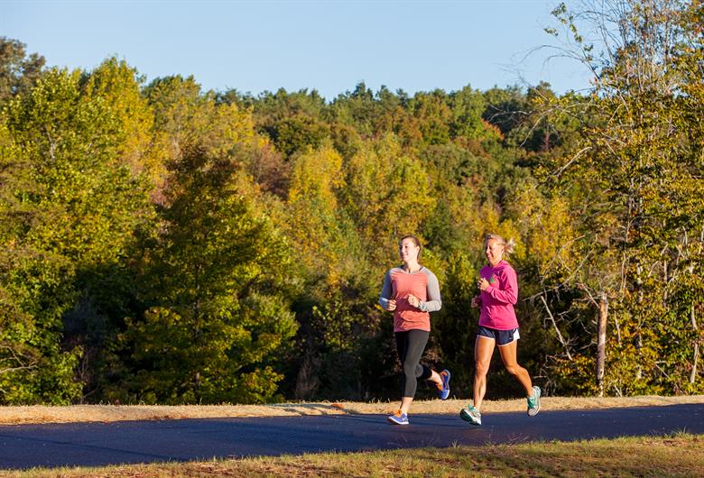 Windsong Townhomes Townhomes MainLevel Owner's Suites Available for