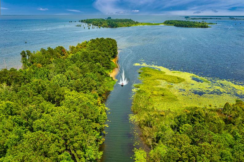 New Homes In Santee For Sale South Carolina Home Builders Ryan Homes