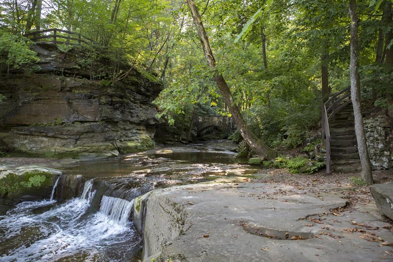 Coopers Mill SingleFamily Homes One Level Living for Sale Ryan Homes