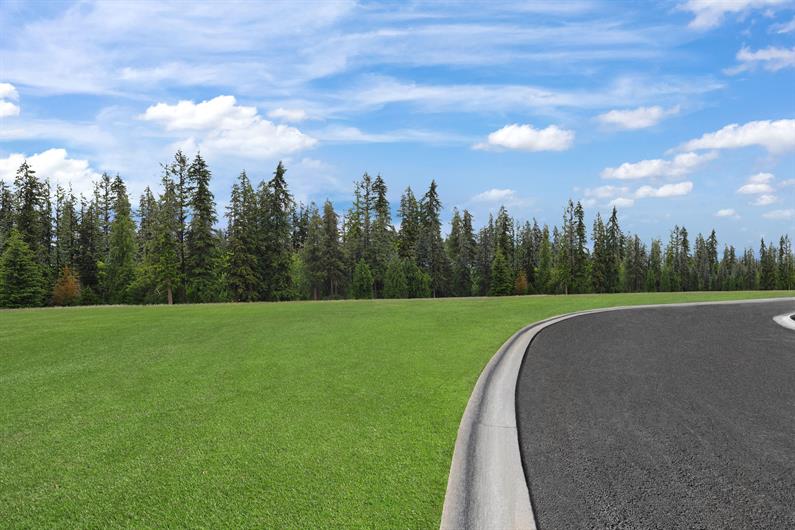 Coopers Mill SingleFamily Homes One Level Living for Sale Ryan Homes