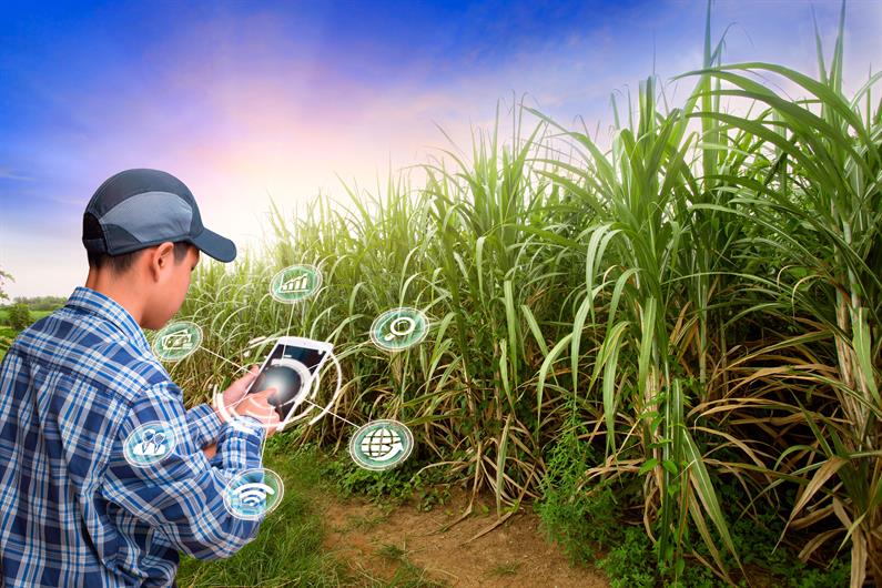 New Homes In Belle Glade For Sale Florida Home Builders Ryan Homes