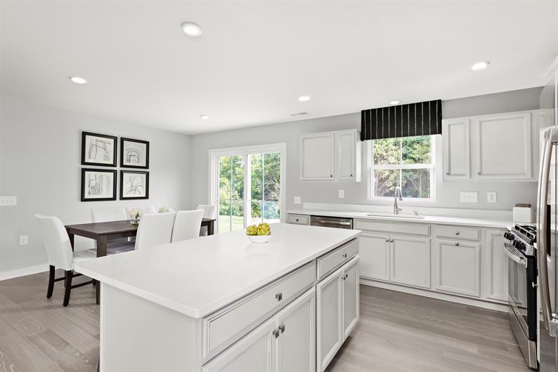 Alderleaf Meadows SingleFamily Homes MainLevel Owner's Suites Available for Sale Ryan Homes