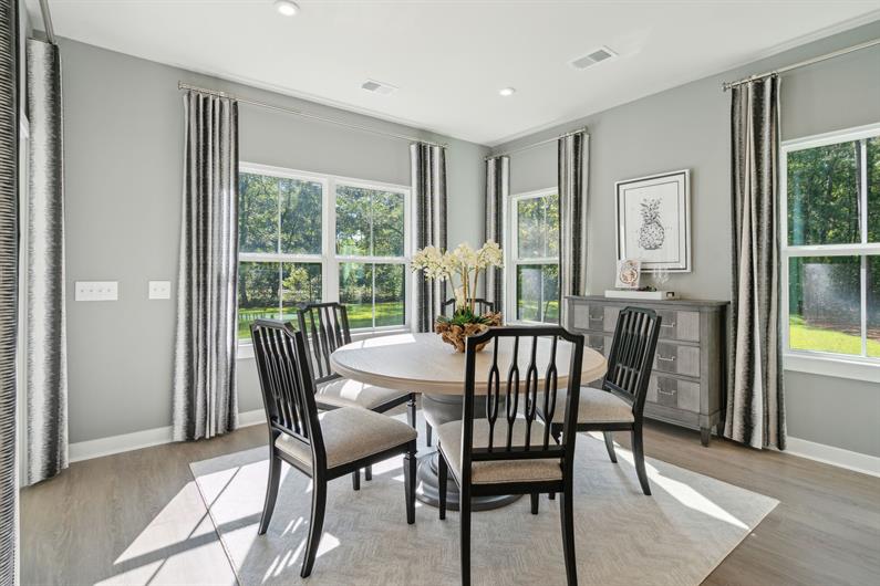 Awendaw Lakes SingleFamily Homes One Level Living for Sale Ryan Homes