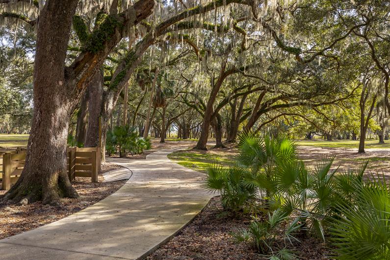 Welcome to Hammock Oaks, a master-planned community like none other in beautiful Lady Lake, Florida!