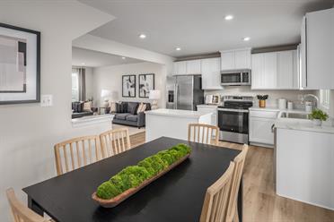 Lacey Pines - Community