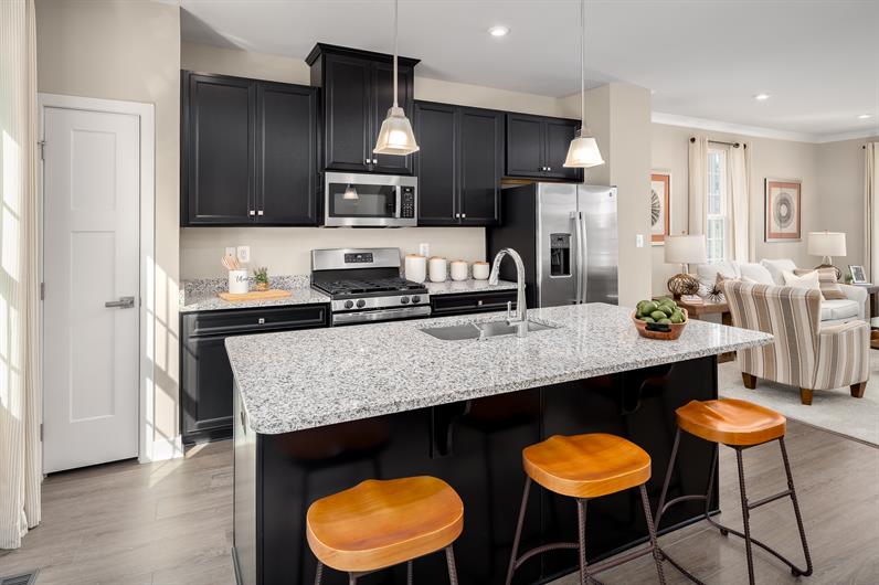 Oakley's Bluff Townhomes for Sale Ryan Homes