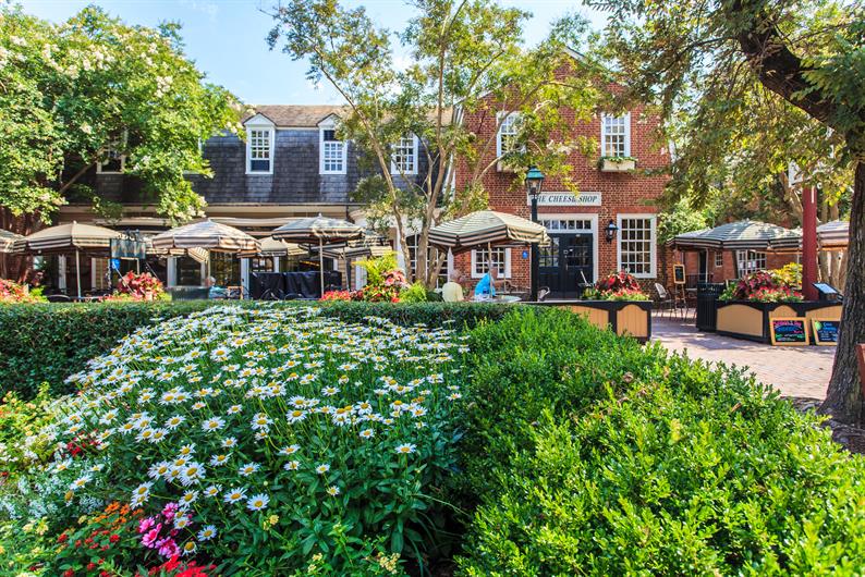 Tranquility 55 Plus SingleFamily Homes for Sale Ryan Homes