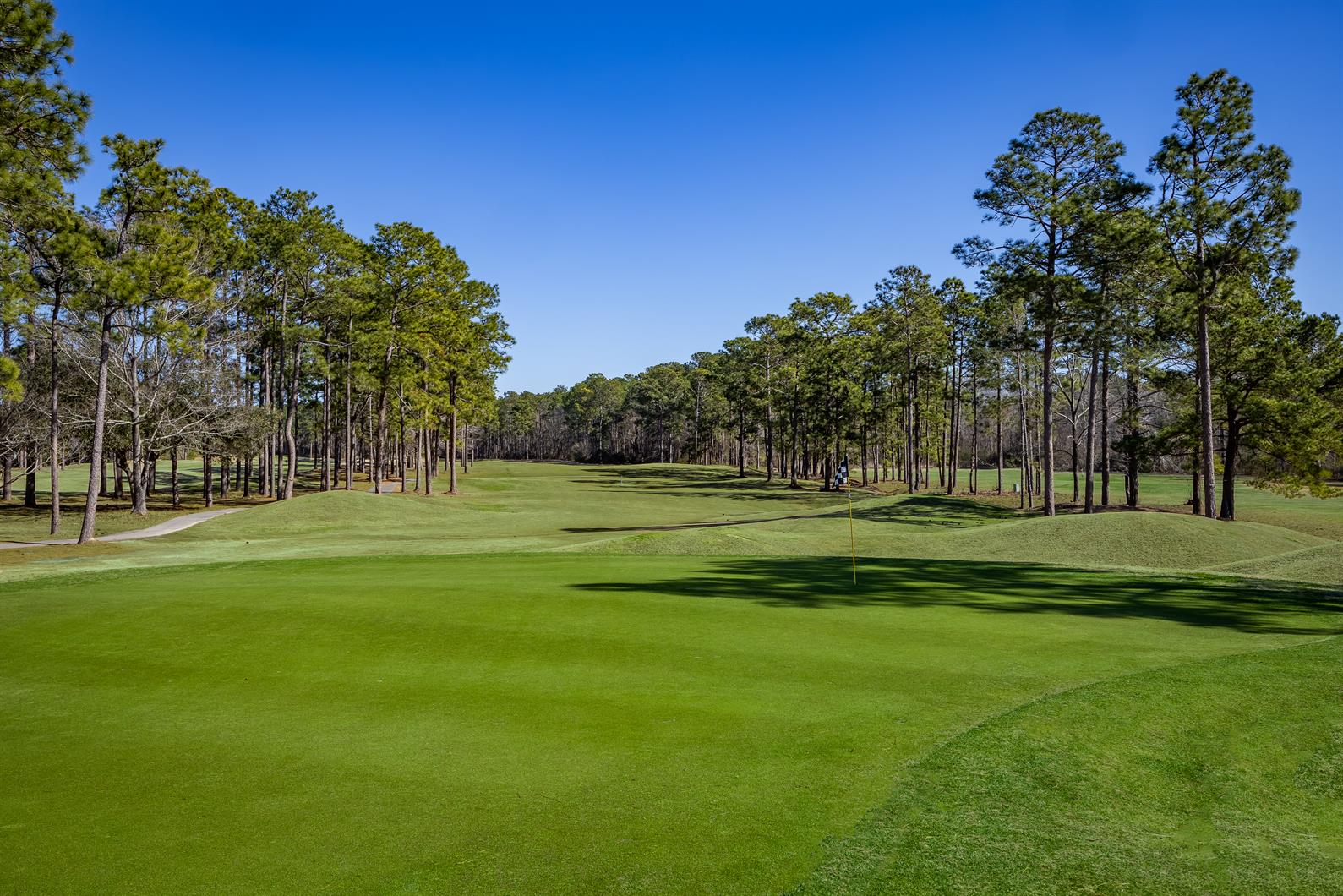 available home in The Greens at Heritage Shores