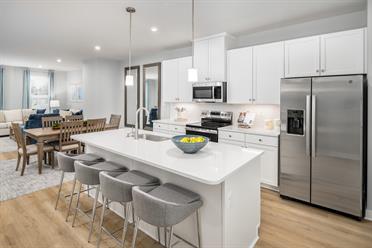 Stowe Branch Townhomes