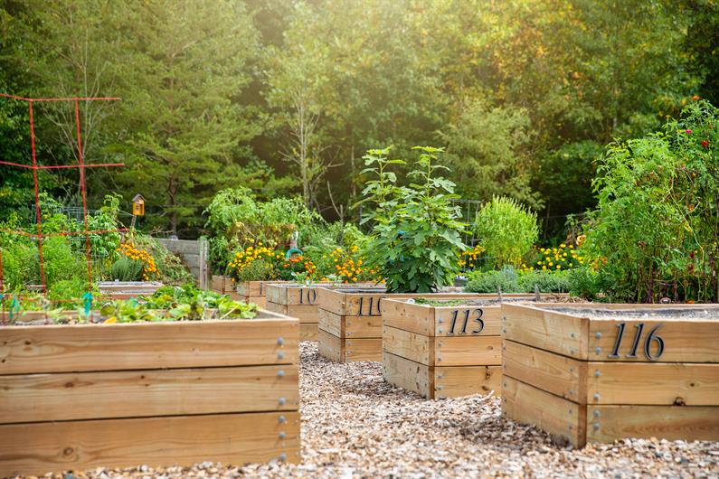 55+ Active Adult Two Rivers Luxury SingleFamily Homes MainLevel