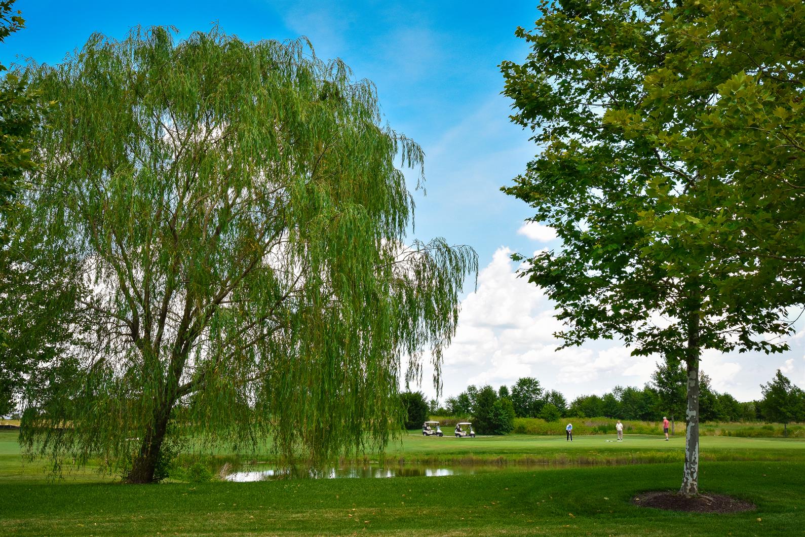 available home in The Greens at Heritage Shores