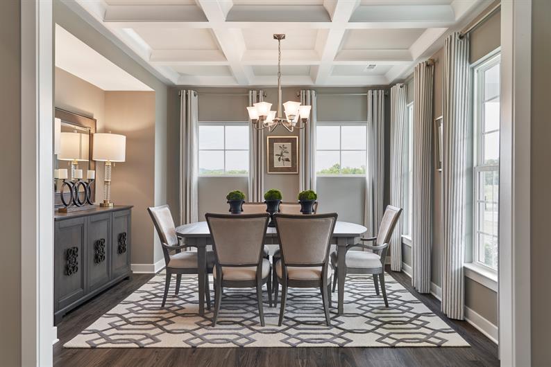 Stream Valley SingleFamily Homes One Level Living for Sale Ryan Homes