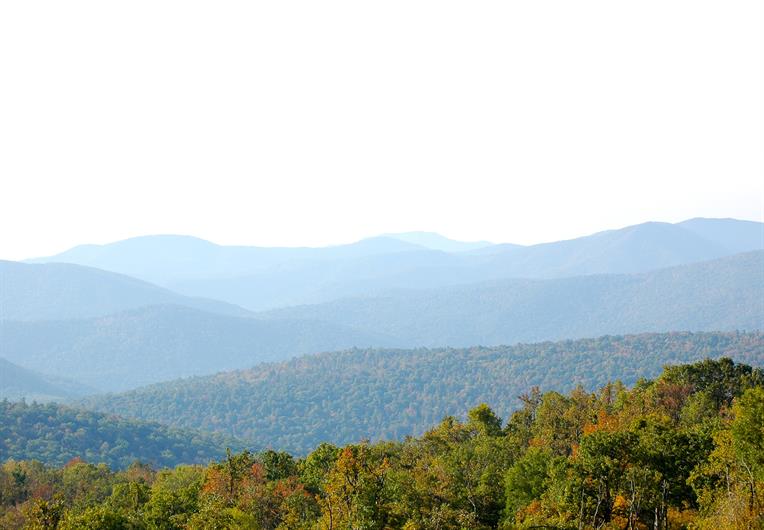 Quails Run SingleFamily Homes One Level Living for Sale Ryan Homes