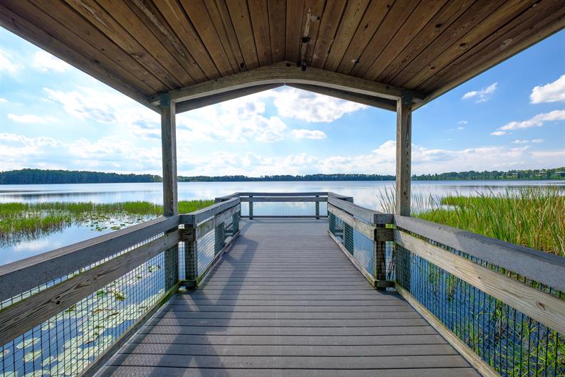 Gracelyn Grove SingleFamily Homes and MainLevel Owner's Suite Homes for Sale Ryan Homes