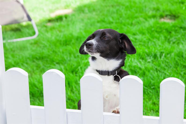 FENCES PERMITTED - YOUR PUP WILL LOVE LIVING HERE 