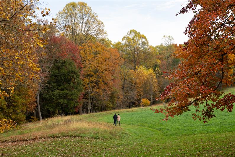 Applewood SingleFamily Homes MainLevel Owner's Suites Available for