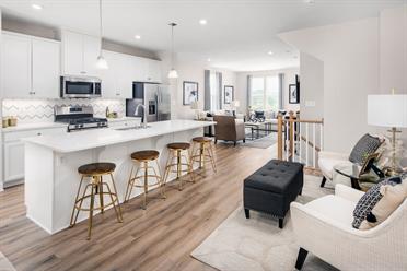 South Lake Townhomes - Community