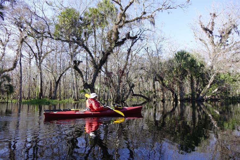 Chapel Creek SingleFamily Homes for Sale Ryan Homes