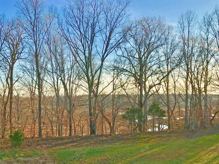 Locust Thicket Townhomes for Sale Ryan Homes