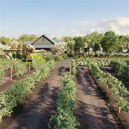 Saratoga Springs 55+